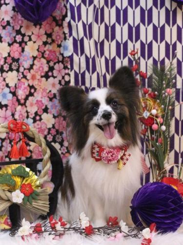 20250126マリーちゃん